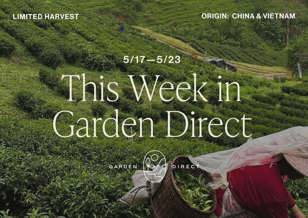This Week in Garden Direct