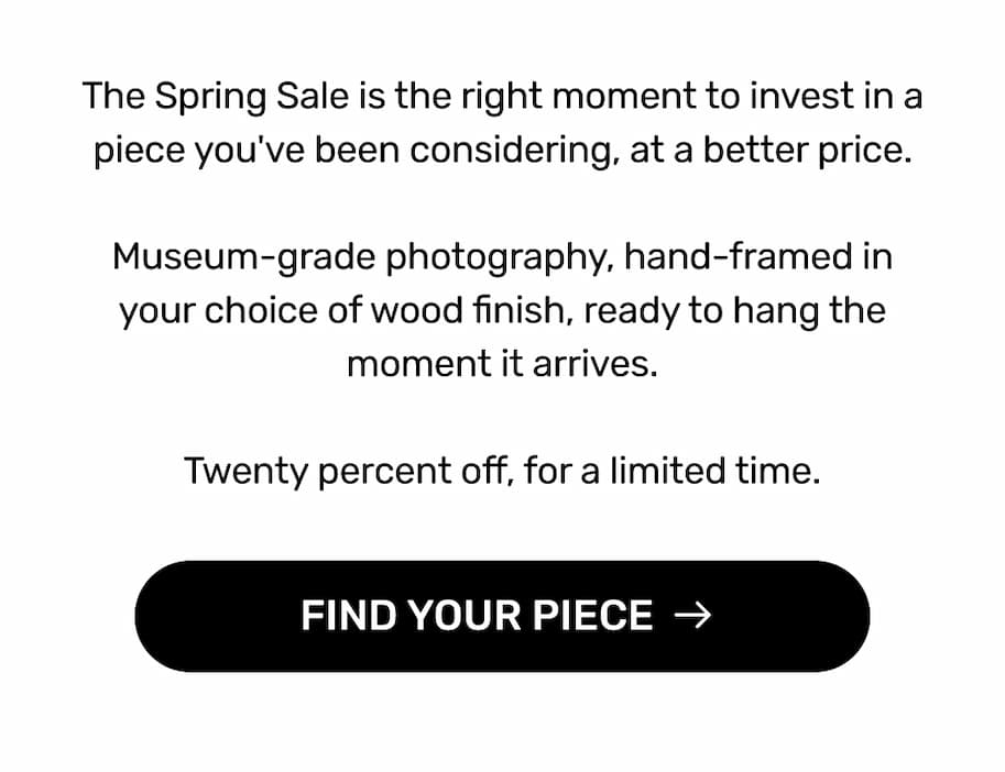 Find Your Piece →