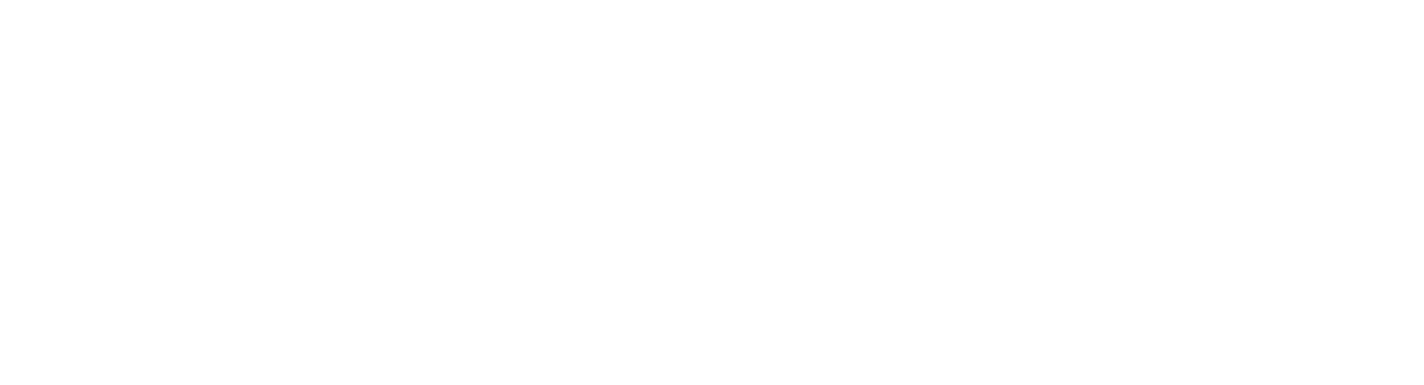 Flying Tiger Copenhagen - Logo