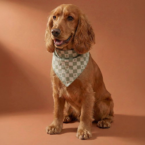 Bandanaslabbetje hond katoen