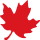 Tgam leaf icon