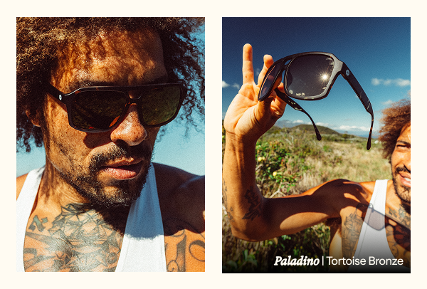 Paladino Tortoise Bronze