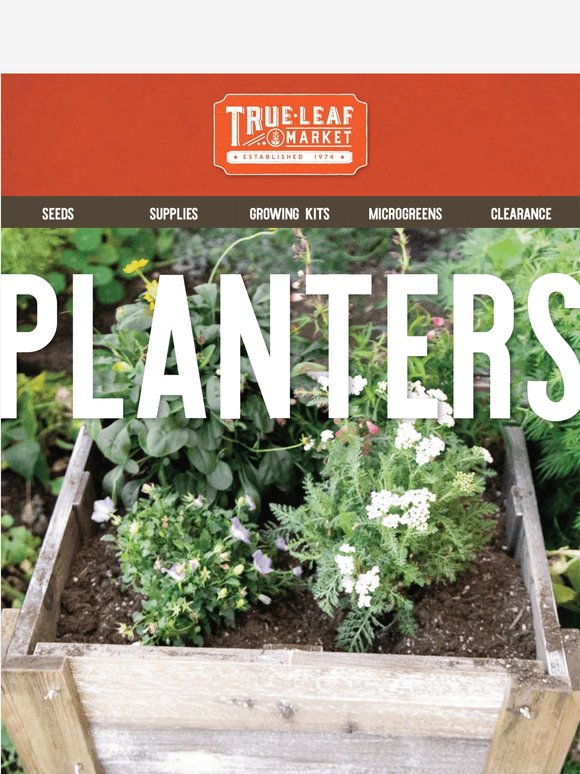 Grow in any space: container gardening made easy