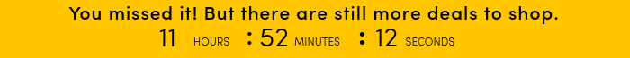 Countdown timer for Big Holiday Flash Sale.