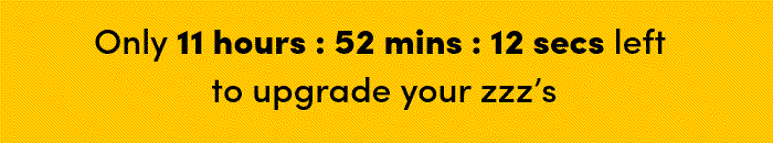 Countdown timer for Big Holiday Flash Sale.