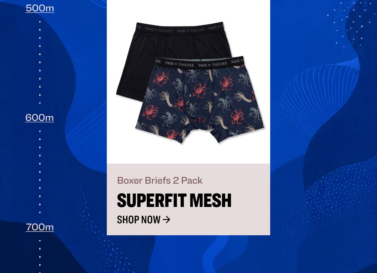 Boxer Briefs 2 Pack superfit mesh shop now