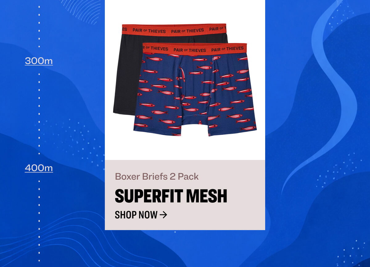 Boxer Briefs 2 Pack superfit mesh shop now