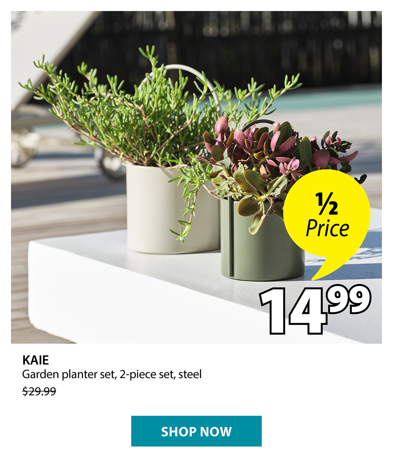 KAIE Garden planter set | 1/2 Price