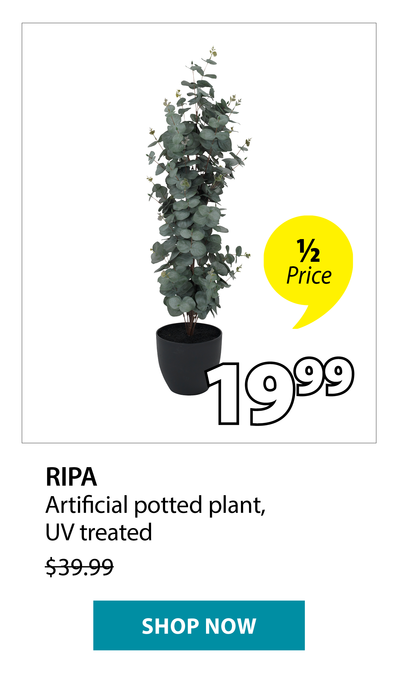 RIPA Artificial potted plant | 1/2 Price
