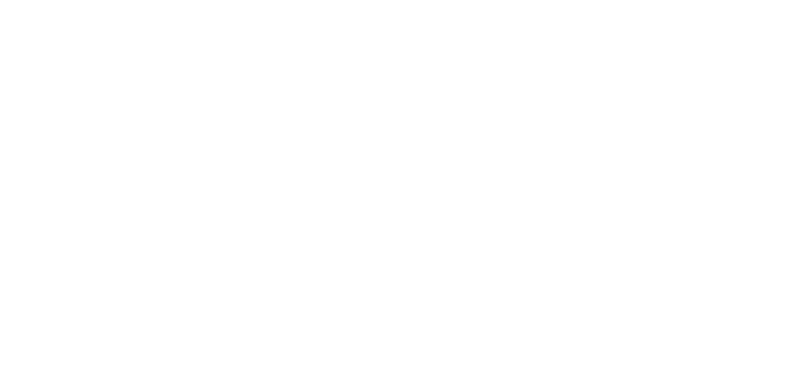 ROAM Logo