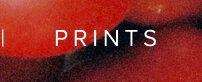 PRINTS