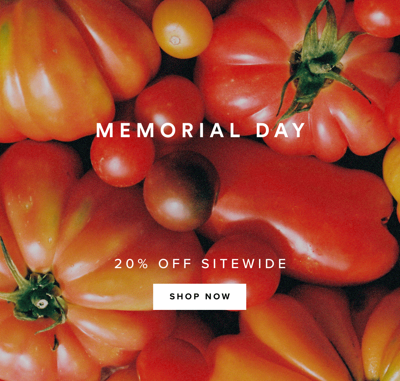 Memorial Day Sale - 20% off sitewide