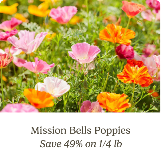 Mission Bells Poppies; Save 49% on 1/4 lb