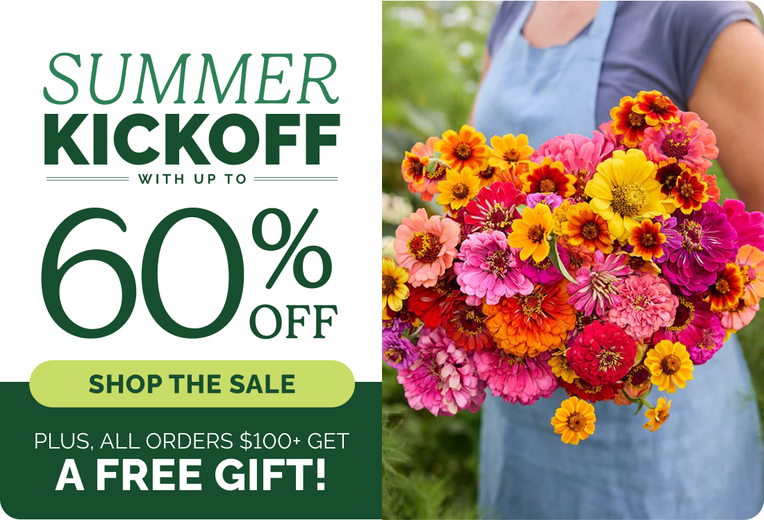 Summer Kickoff with up to 60% off; Shop the sale; Plus, all orders $100+ get a free gift!