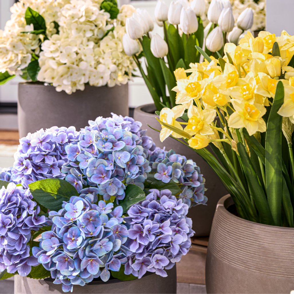 Selection of Spring pot fillers