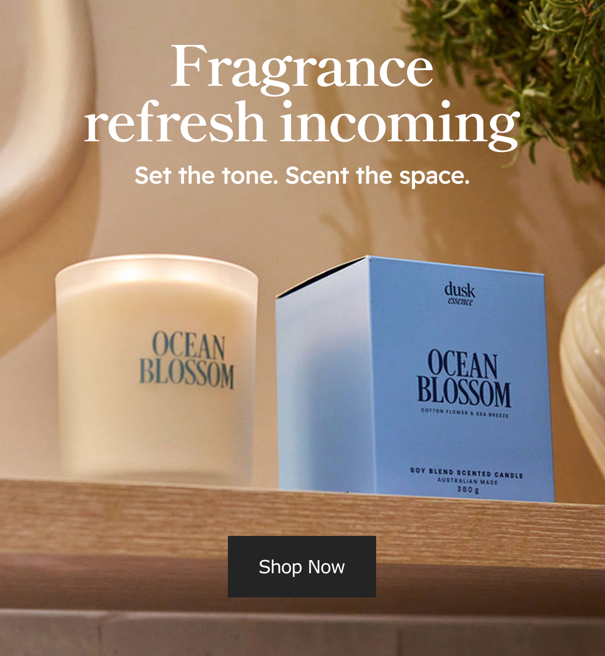 Fragrance refresh incoming. Set the tone. Scent the space