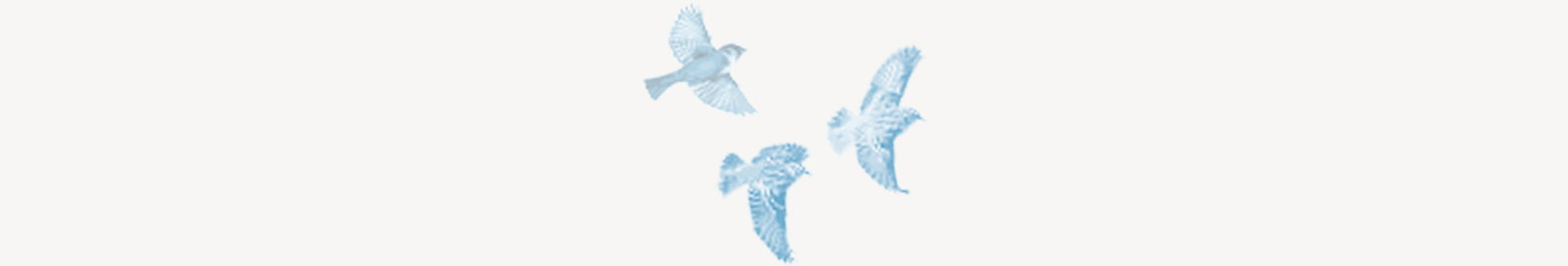 pair