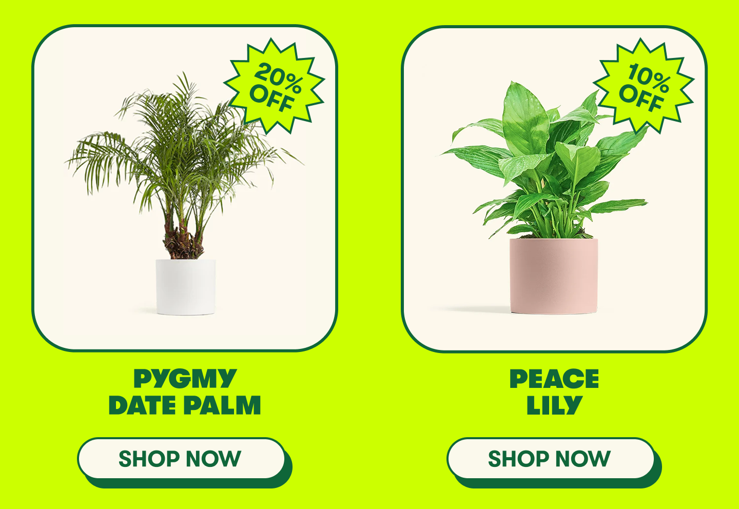 Memorial Day Sale up to 20% off