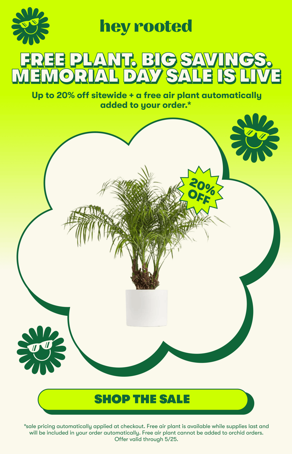 Up to 20% off + free air plant with every purchase