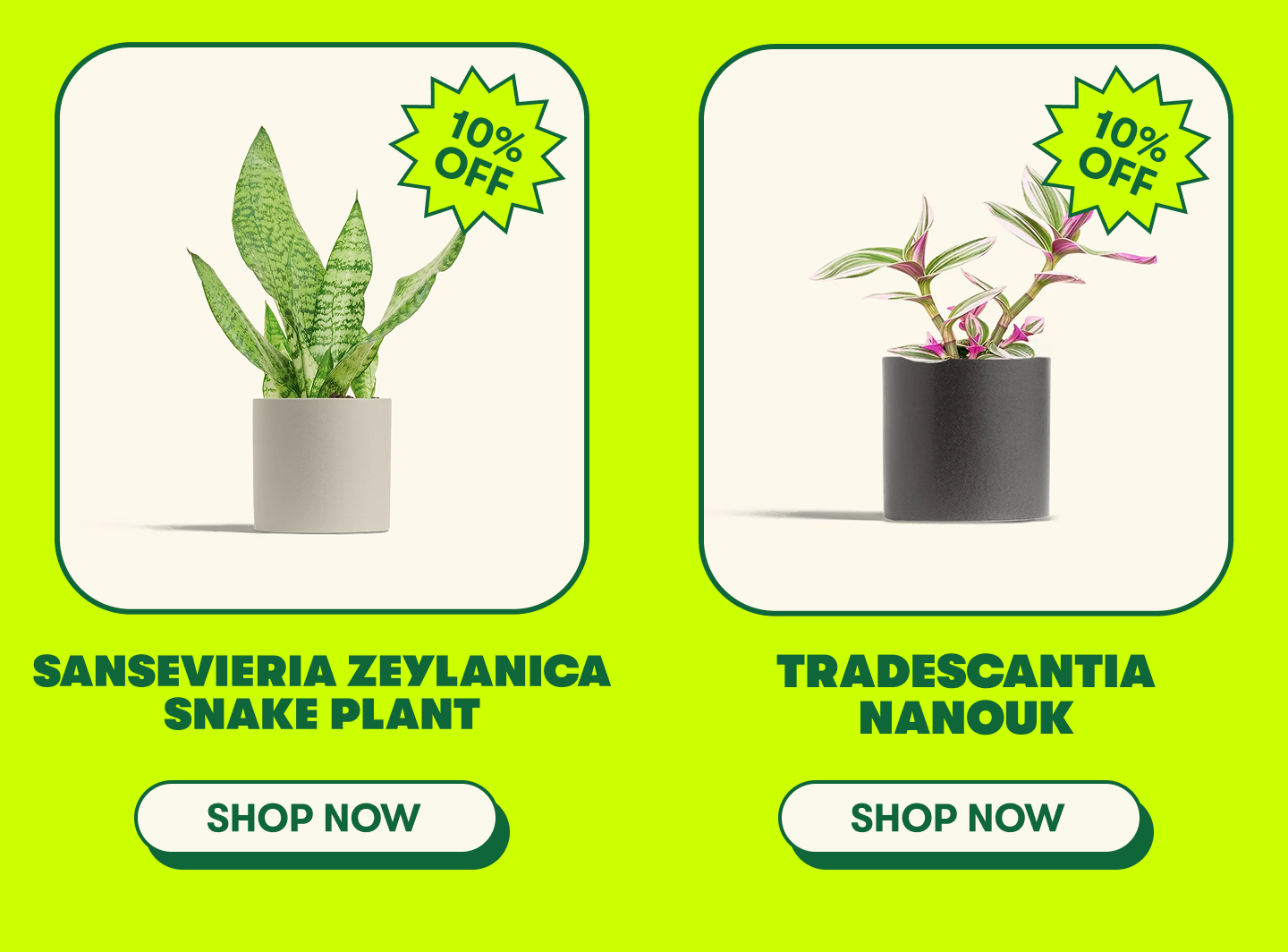 Memorial Day Sale up to 20% off