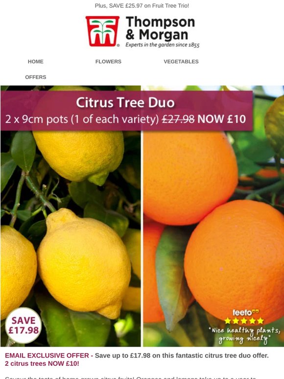 Delicious Citrus Duo only £5 each!