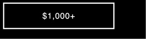 $1,000 +
