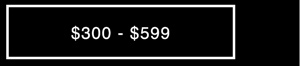 $300-$599