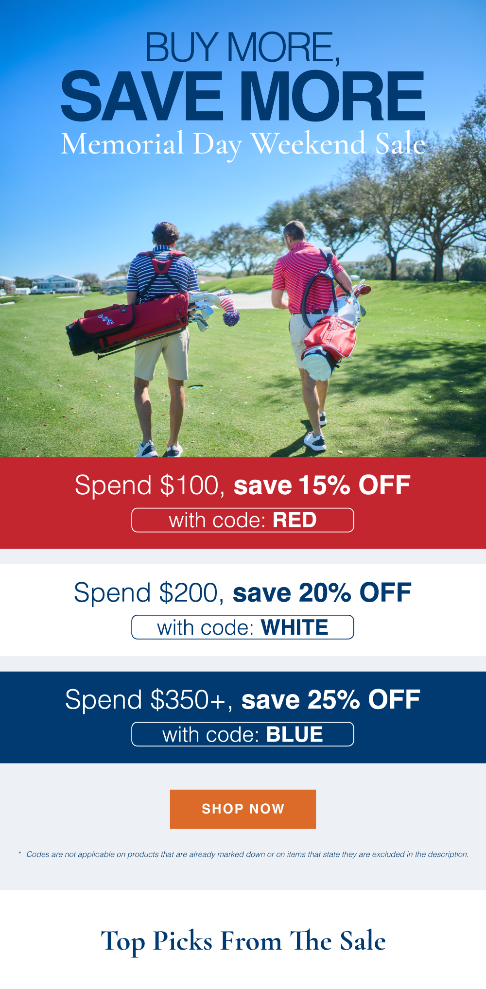 an image of a blue and white banner with the text last chance your code
