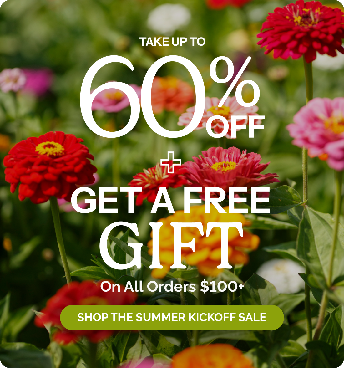 Take up to 60% off + Plus get a free gift on all orders $100+; Shop the summer kickoff sale