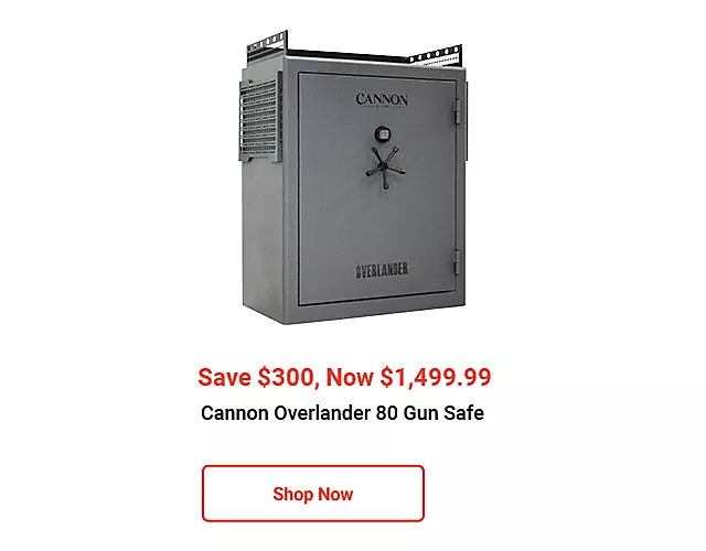 Gun Safes