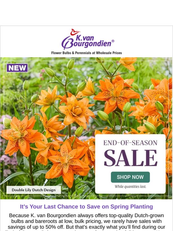 Enjoy Savings of up to 50% on Our Remaining Spring Items