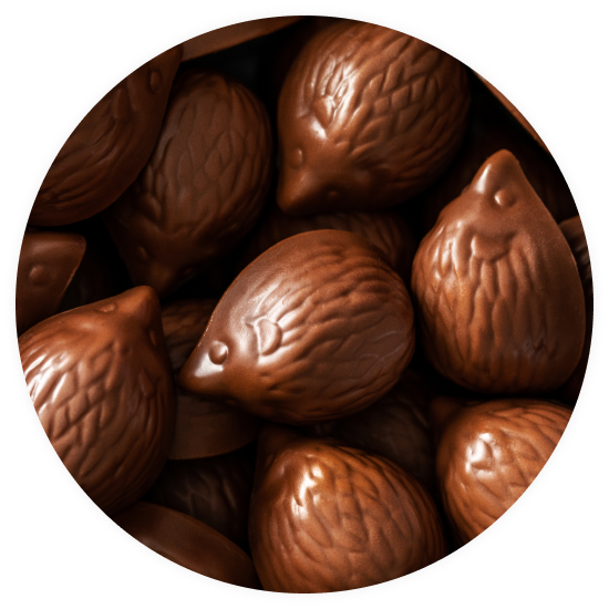  Hedgehogs