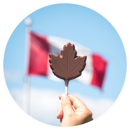 Maple Leaf Milk Chocolate Lolly