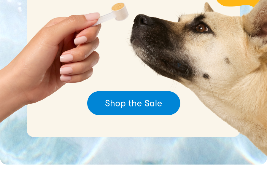 Shop the Sale