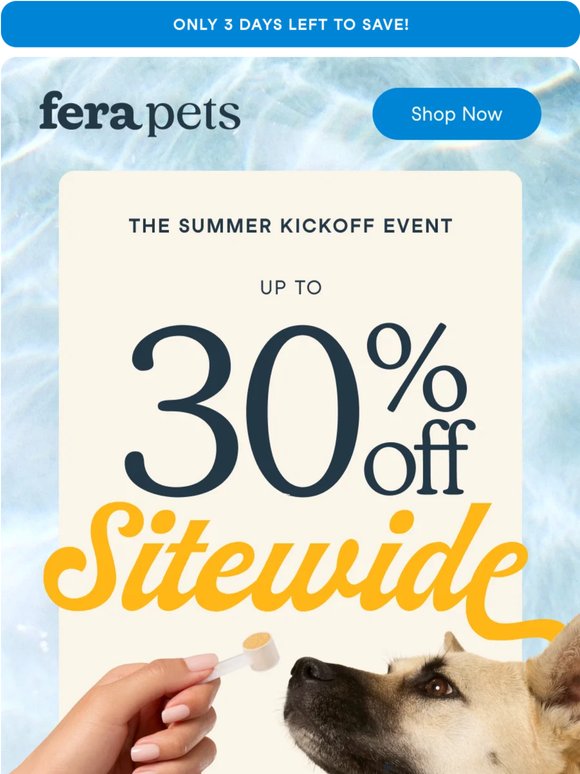 3 Days Left! Up to 30% Off Everything