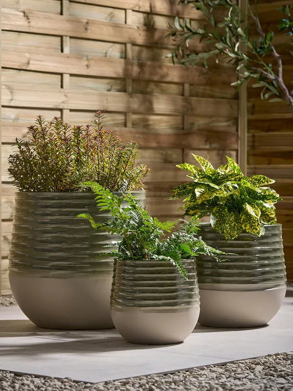 Three Sage Ombre Planters