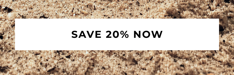 SAVE 20% NOW