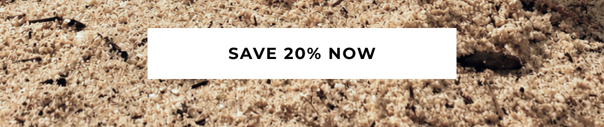 SAVE 20% NOW