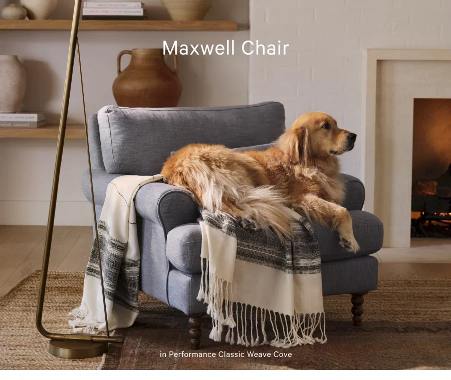 Maxwell Chair