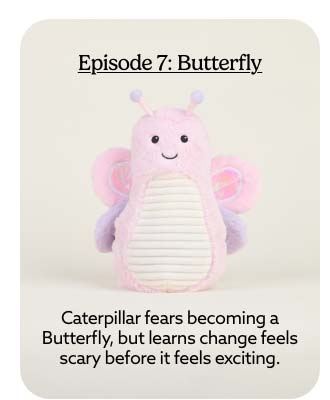 Shop Butterfly