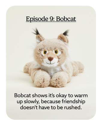 Shop Bobcat