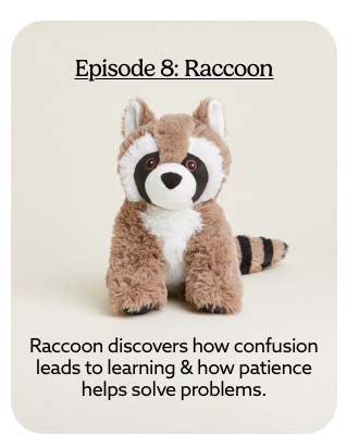 Shop Raccoon