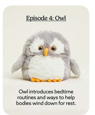 Shop Owl