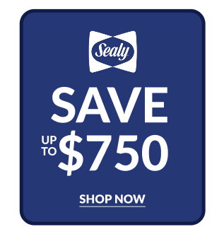 Sealy