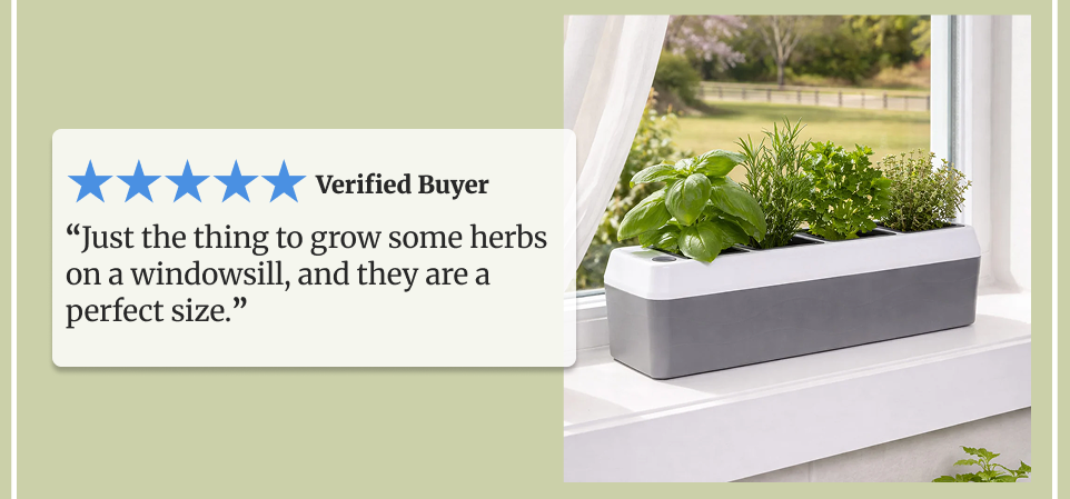 Windowsill Herb Planter - Self Watering