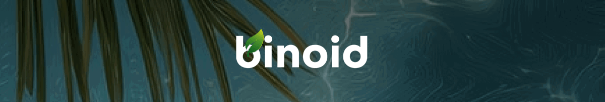 Binoid 