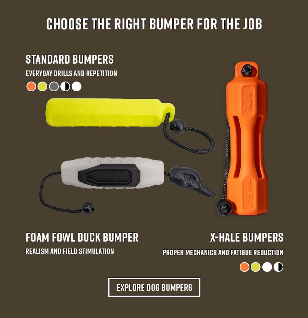 Image displays 3 styles of dog bumpers. Text: Choose the right bumper for the job. Standard Bumpers: Everyday Drills and Repetition. Foam Fowl Duck Bumper: Realism and Field Stimulation. X-Hale Bumpers: Proper Mechanics and Fatigue Reduction. Explore Dog Bumpers 