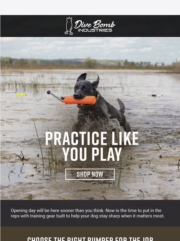 Train Now. Save Steps This Fall.