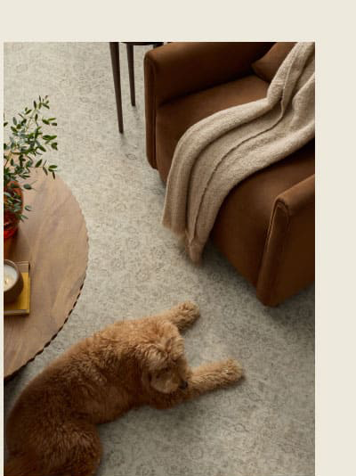 Sierra Ivory & Opal Rug