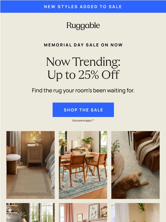 On trend rugs. Now on sale.
